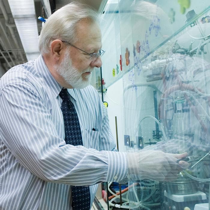 Photo of David Nichols