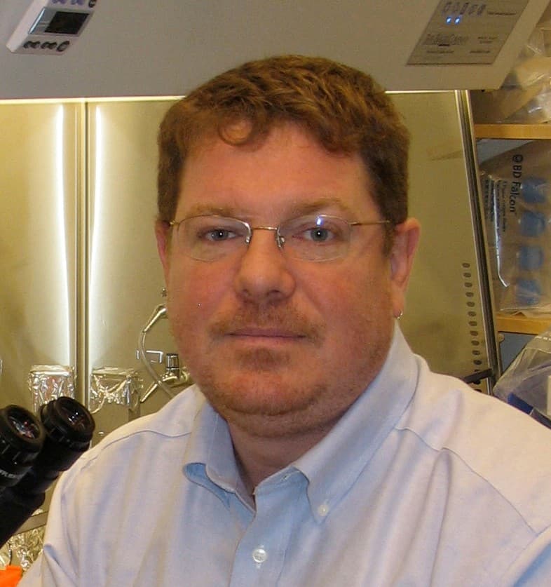 Photo of Steven Sheridan