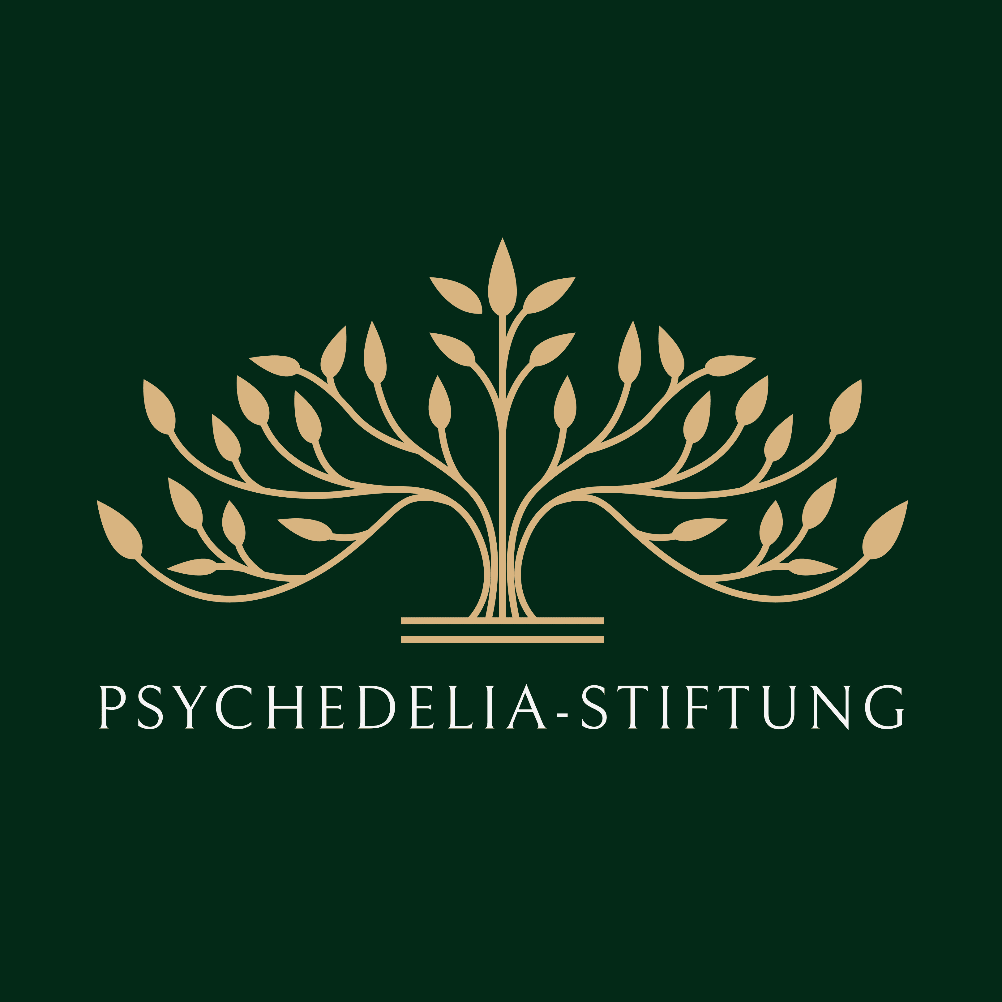 Psychedelia Foundation logo